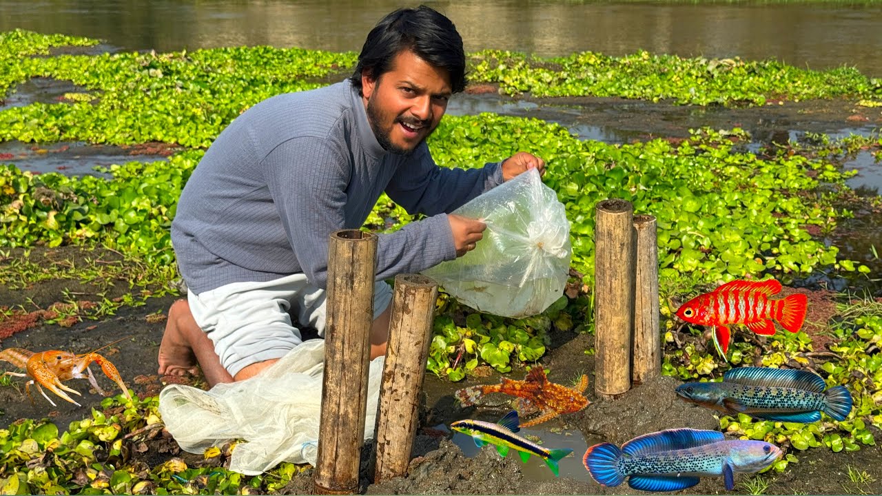 Primitive Bamboo Fishing Full Bag Fishes ❤️🥰