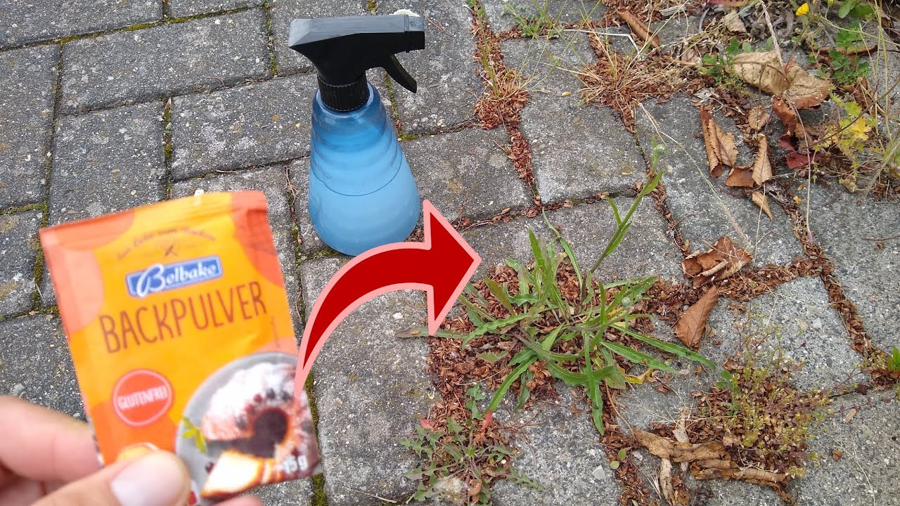 Wie du mit Backpulver Unkraut m&uuml;helos & schnell entfernen kannst!