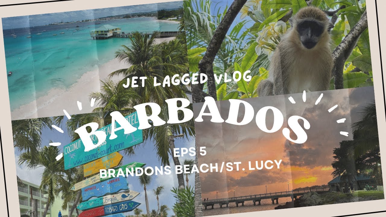 WE GOT DRUNK OFF THE BEST RUM ON EARTH🏴‍☠️🍹🥥 | ST LUCY/BRANDONS, BARBADOS VLOG
