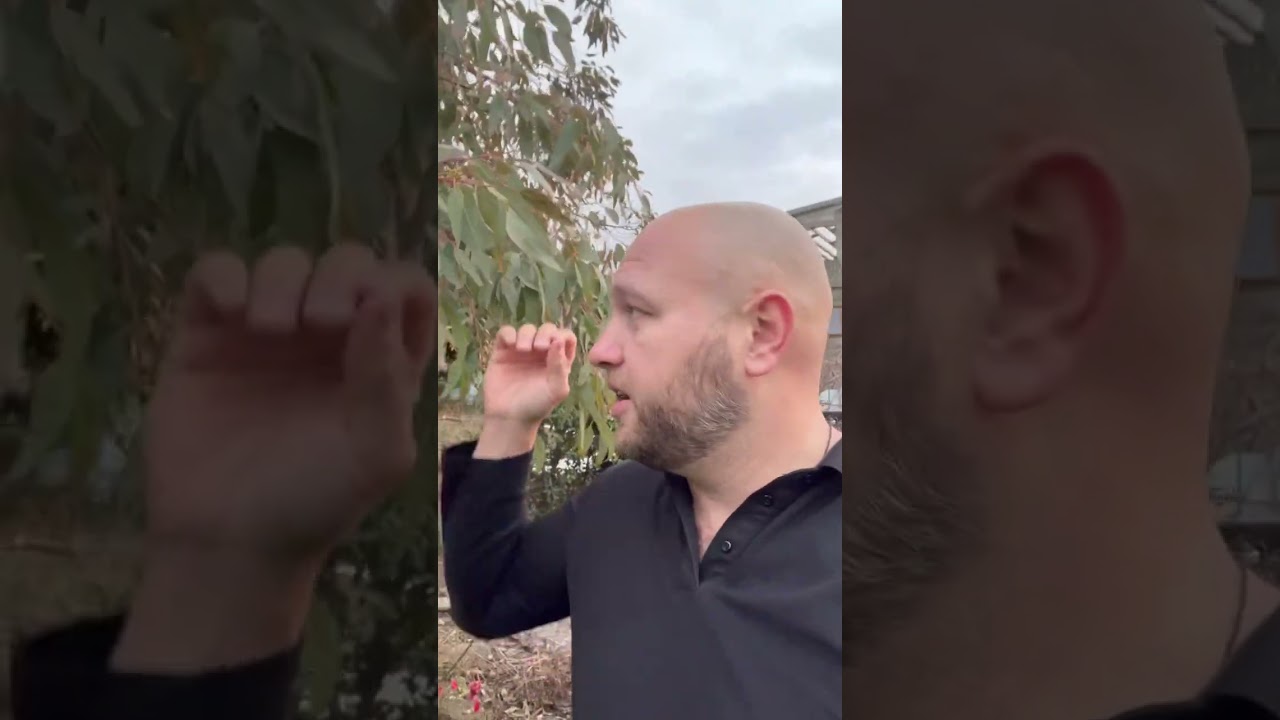 Всегда с свои посылочки клиентам добавляю приятные бонусы ♥️улыбки людей - бесценны 🩷🫶