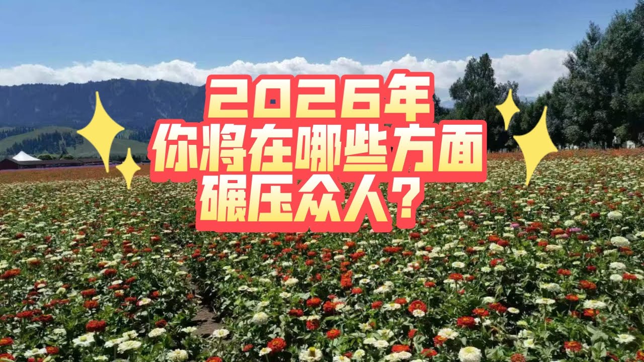 【大众占卜】2026年你将在哪些方面碾压众人？