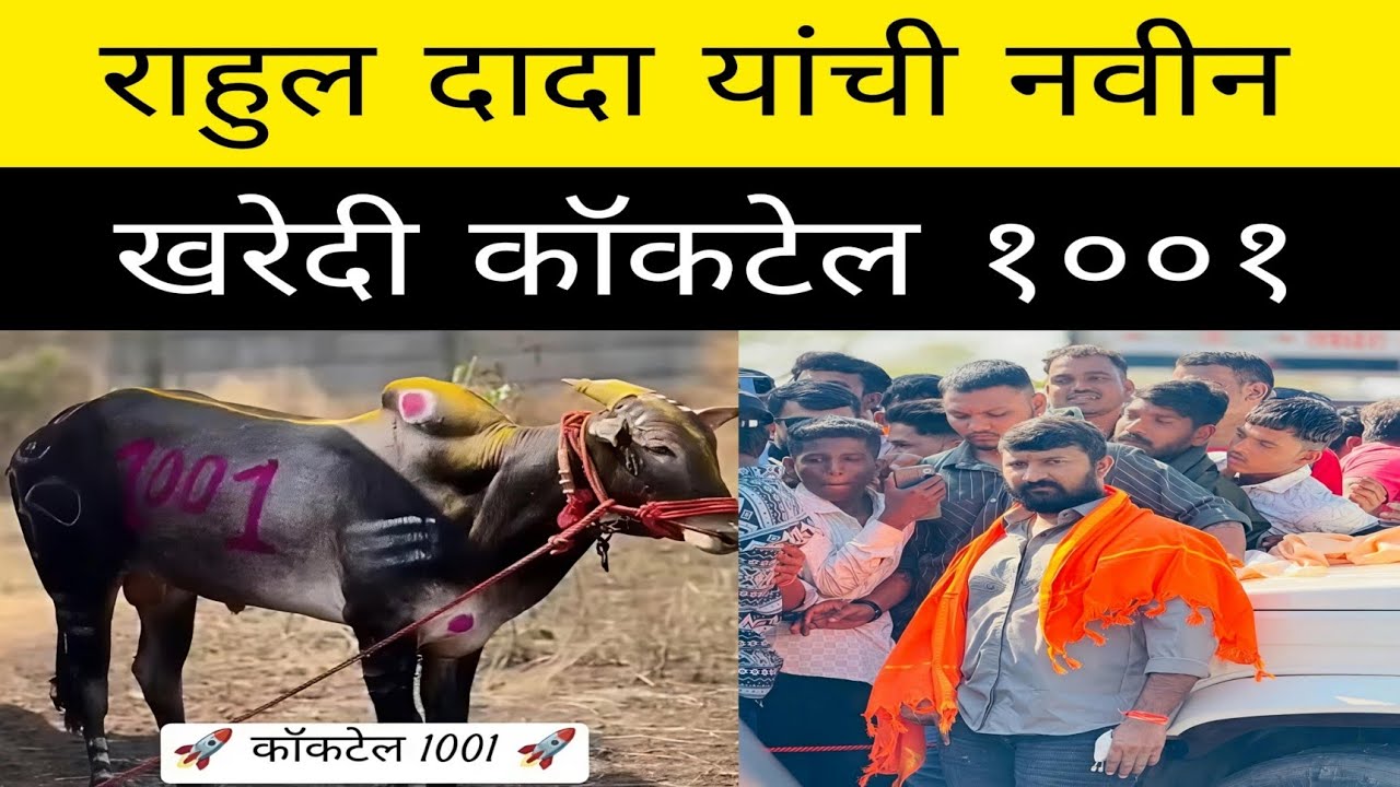 राहुल पाटील अडवली कल्याण १००१ यांची नवीन खरेदी कॉकटेल १००१ . कुठून खरेदी झाली .