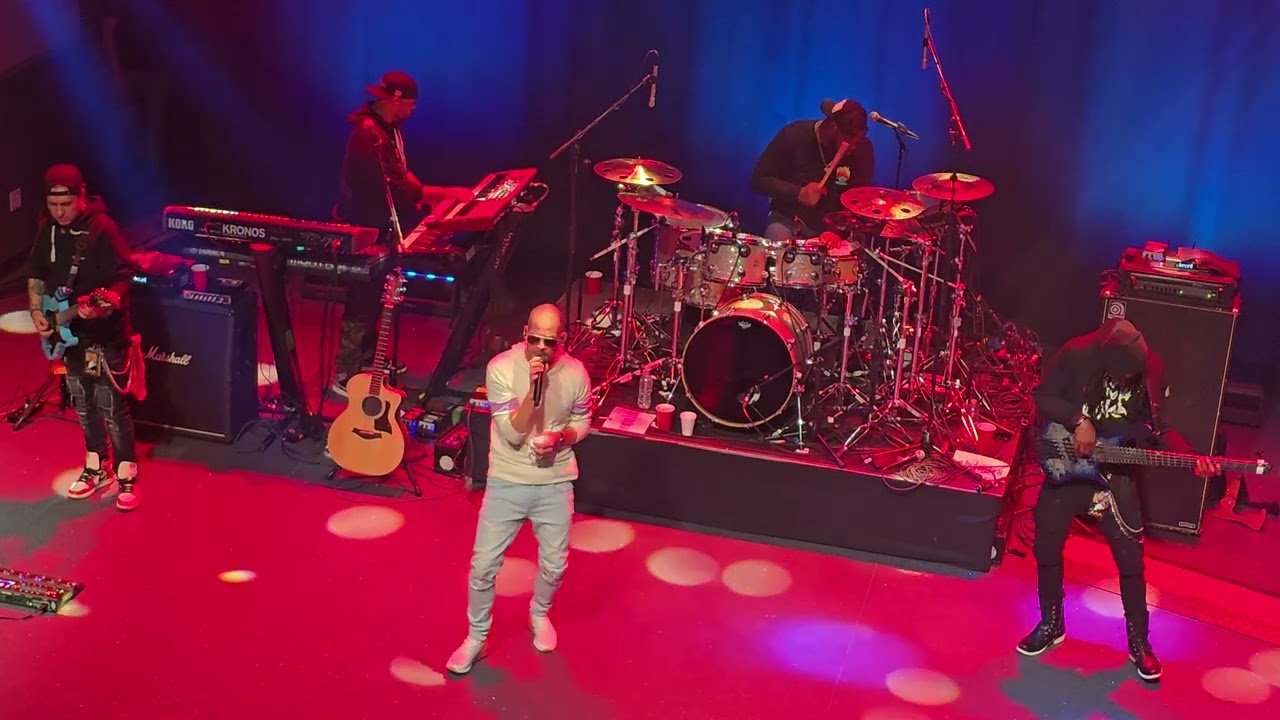 COLLIE BUDDZ 