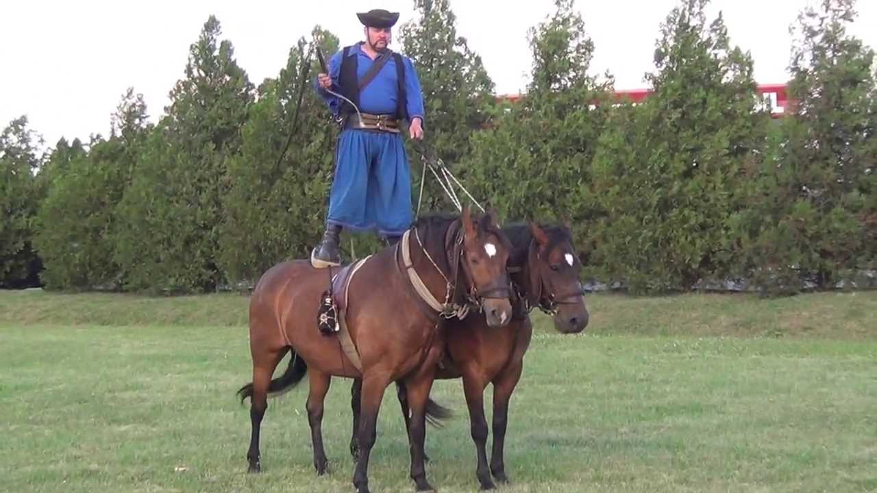 BUCK VIKTOR BETYÁR - CSIKÓS BEMUTATÓJA a Jászsági aratónapon Jászapátiban 2013.07.06.-án (1/4)