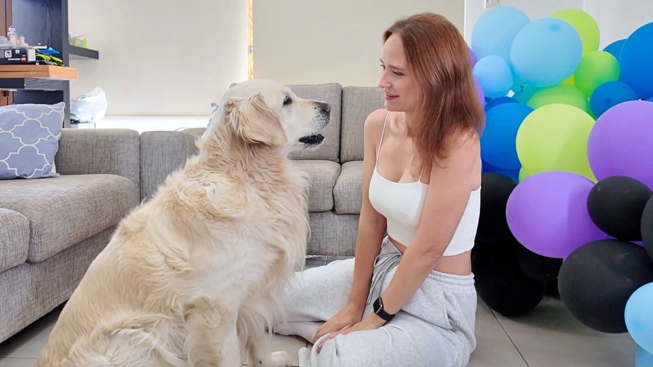 Dog Plays Hide and Seek – Hilarious Reaction!