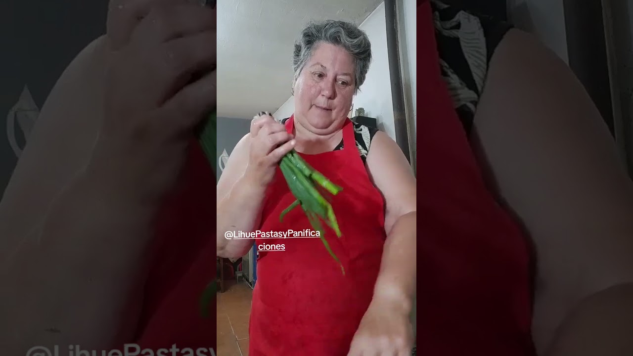 Pollo al disco