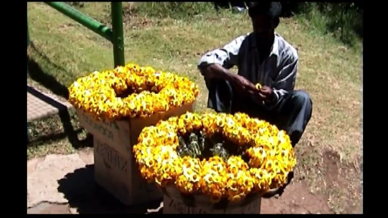 Ooty in 2000's  - The Nilgiris Before Modern Urbanisation | Old Video