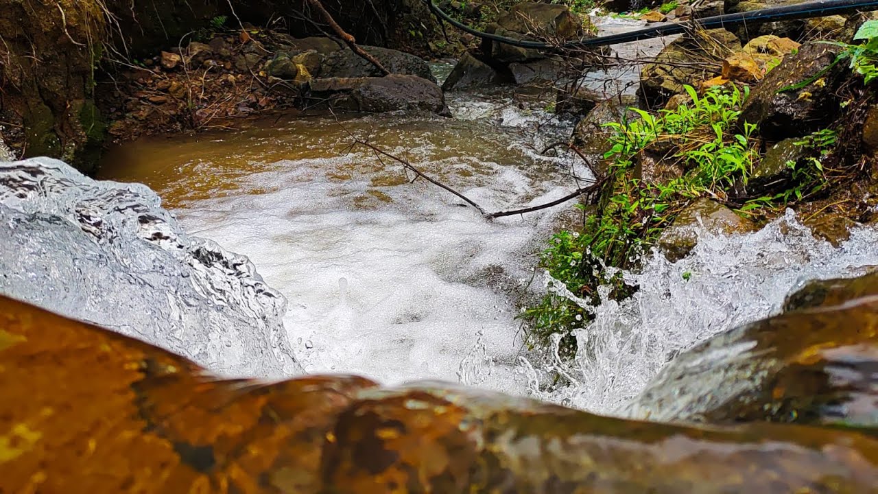 MOST BEAUTIFUL trek near Mumbai?📍Garbett Plateau In Monsoon Season 