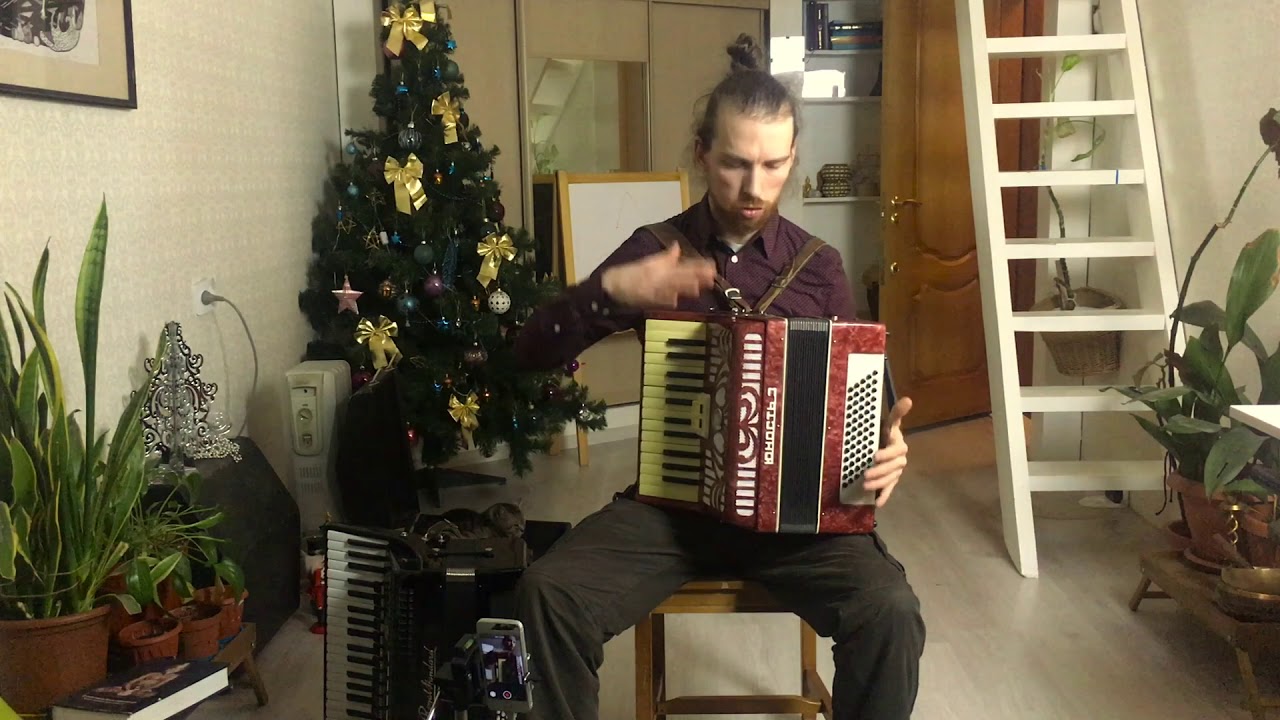 Какие бывают аккордеоны. Какой аккордеон выбрать