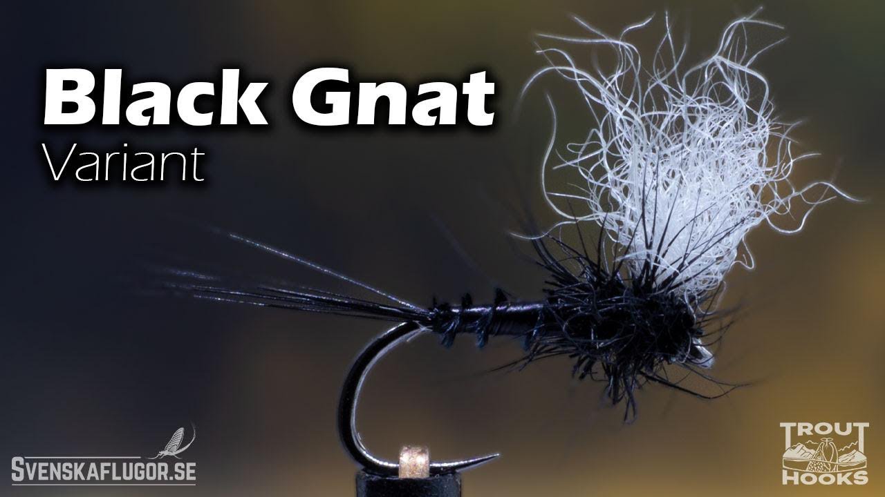 Black Gnat | Flugbindning | Svenskaflugor.se