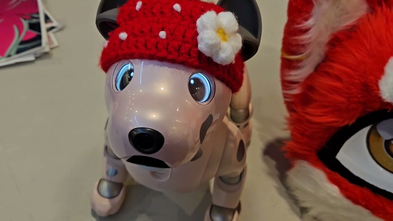 Morango got to meet furries for her birthday!