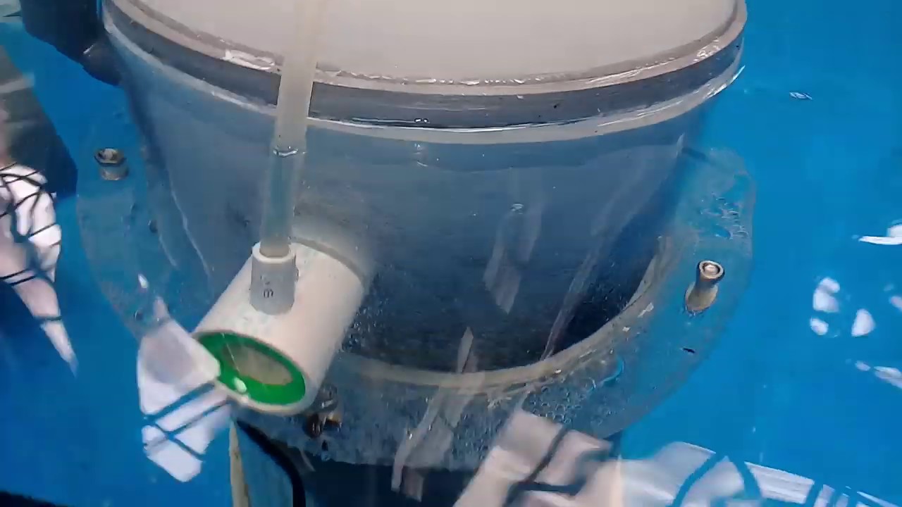 PROTEIN SKIMMER DIY... MURAH