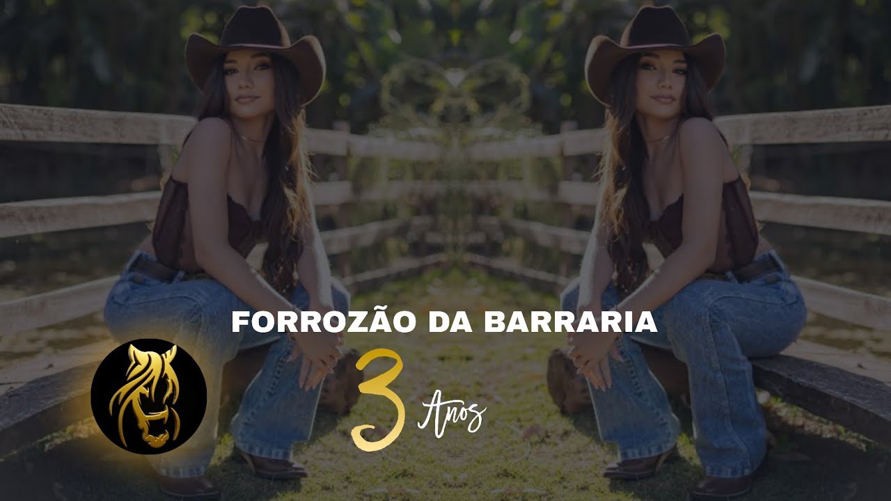 FORROZÃO DA BARRARIA 3 ANOS DJ BISMARK PROJECT 