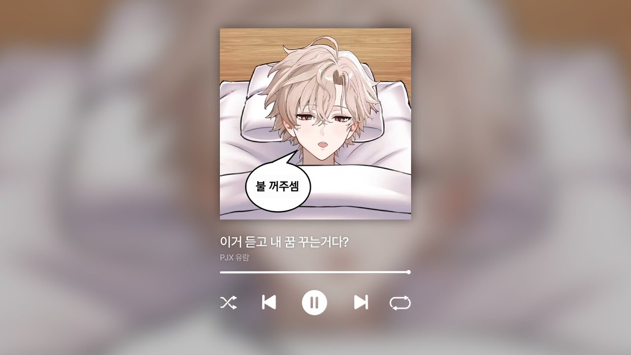 [𝐏𝐥𝐚𝐲𝐥𝐢𝐬𝐭] 듣다가 주무셔도 좋습니다😴 | PJX 유람 라이브 플레이리스트🎵