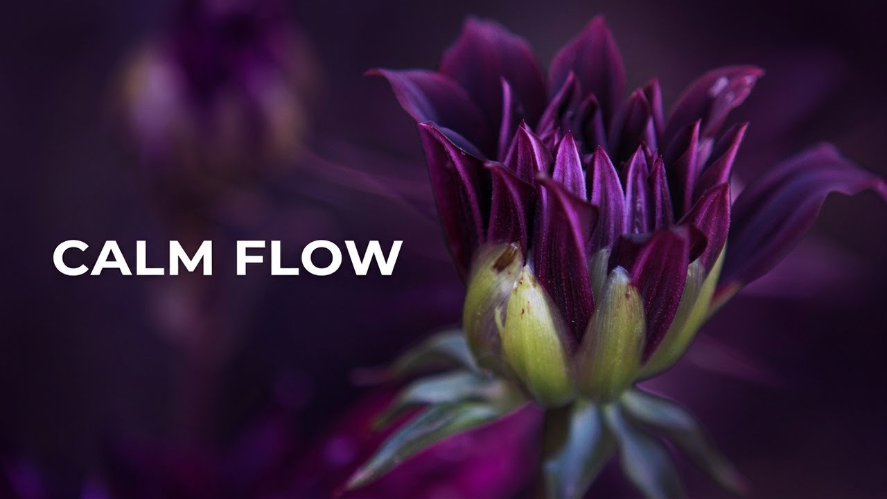 Deep Focus Music for Work & Study | Calm Background with Soft Purple Tones