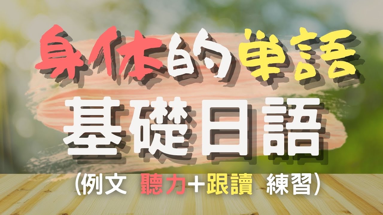 學習日文從基礎單字開始 常見的身體日文單字 | 基礎日語單字-N5日檢