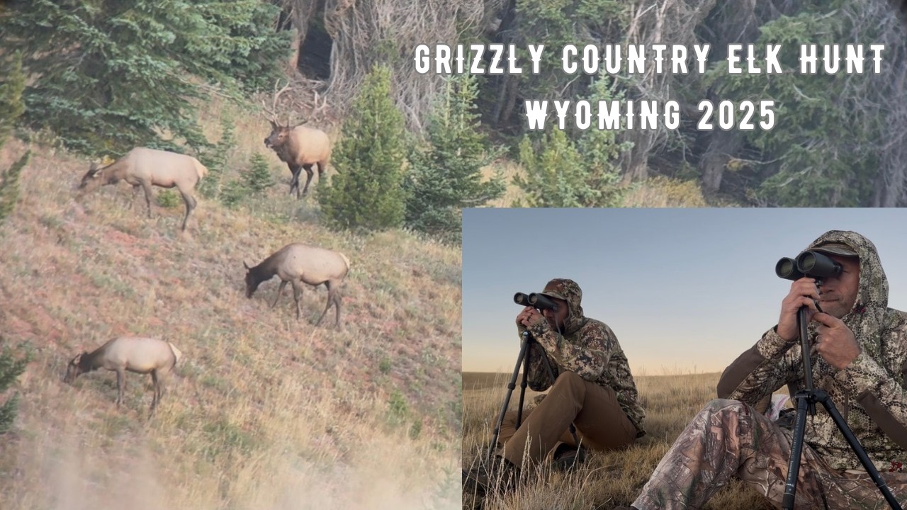 Grizzly Country Archery Elk Hunt | Major Rut Action!!