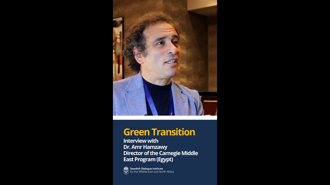 Green partnerships: Dr. Amr Hamzawy from our Annual Conference of the Swedish Dialogue Institute