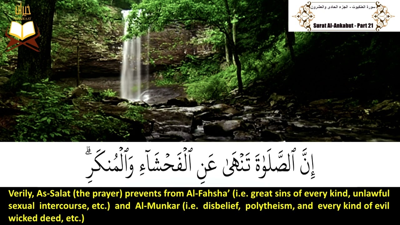 029: Surah Al Ankabut | Sheikh: Hatem Farid Alwaer | سورة العنكبوت | القارئ الشيخ: حاتم فريد الواعر