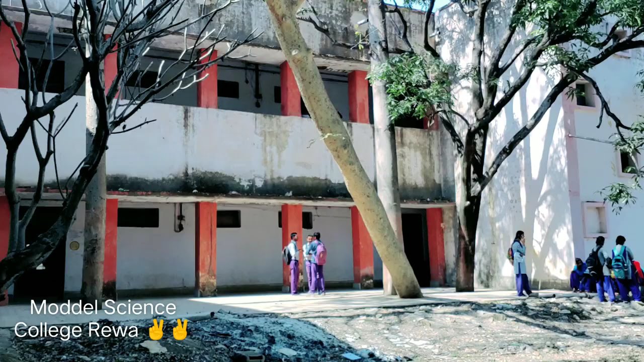 Government model science College Rewa mp ( B.Sc )
