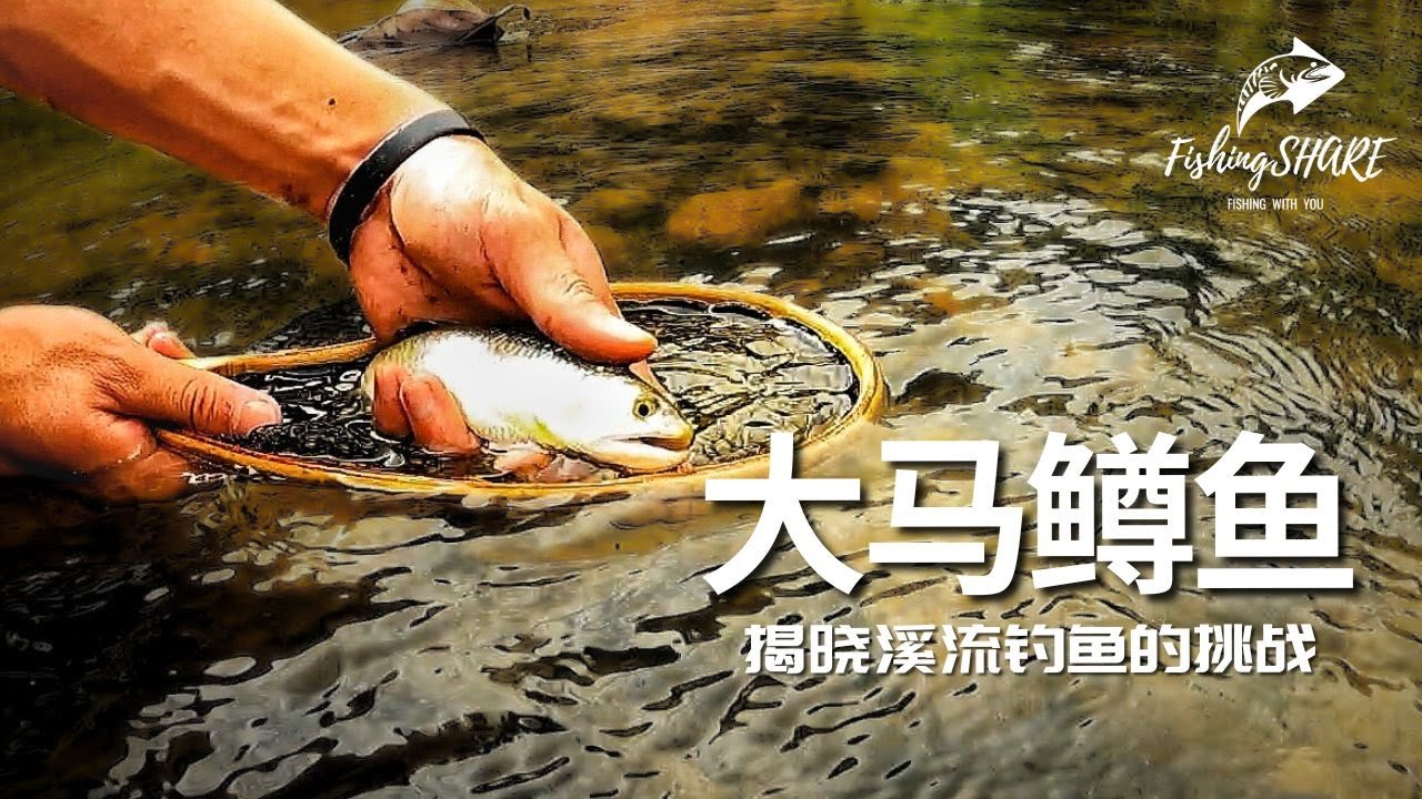 【FishingShare】寻找大马鳟鱼，揭晓溪流钓鱼的挑战！Searching for the MALAYAN TROUT！