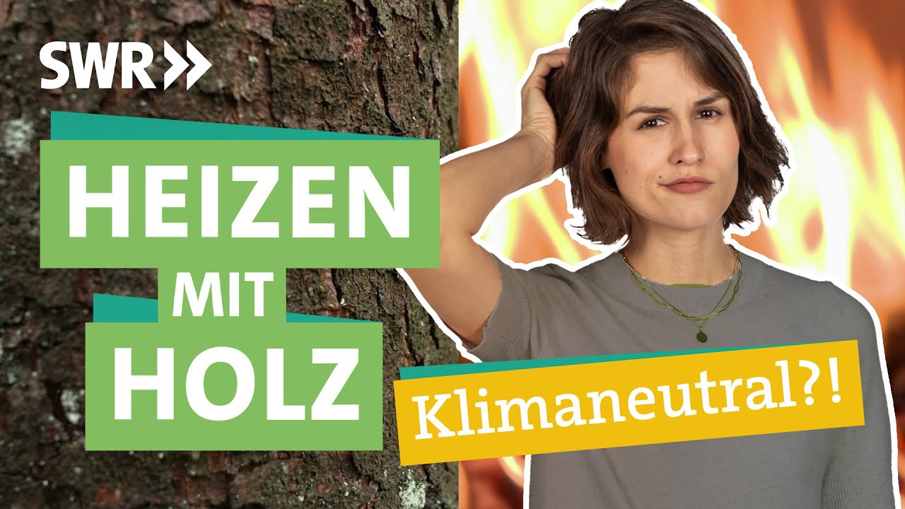 Kamin: Gefahr für Gesundheit und Klima I Ökochecker SWR