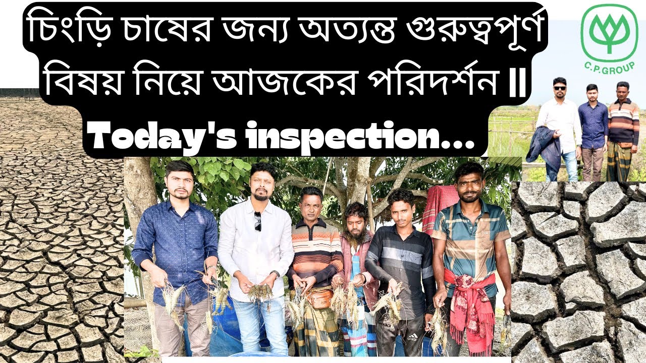 চিংড়ি চাষের জন্য অত্যন্ত গুরুত্বপূর্ণ বিষয় নিয়ে আজকের পরিদর্শন || Today's inspection is....