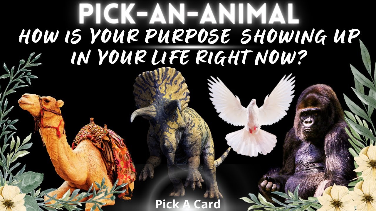 ♛How Your Purpose Is Showing Itself Right Now♛ Pick A Card