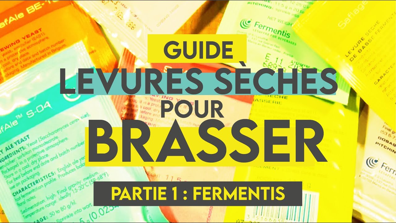 Guide des levures sèches I Partie 1 - Les levures Fermentis