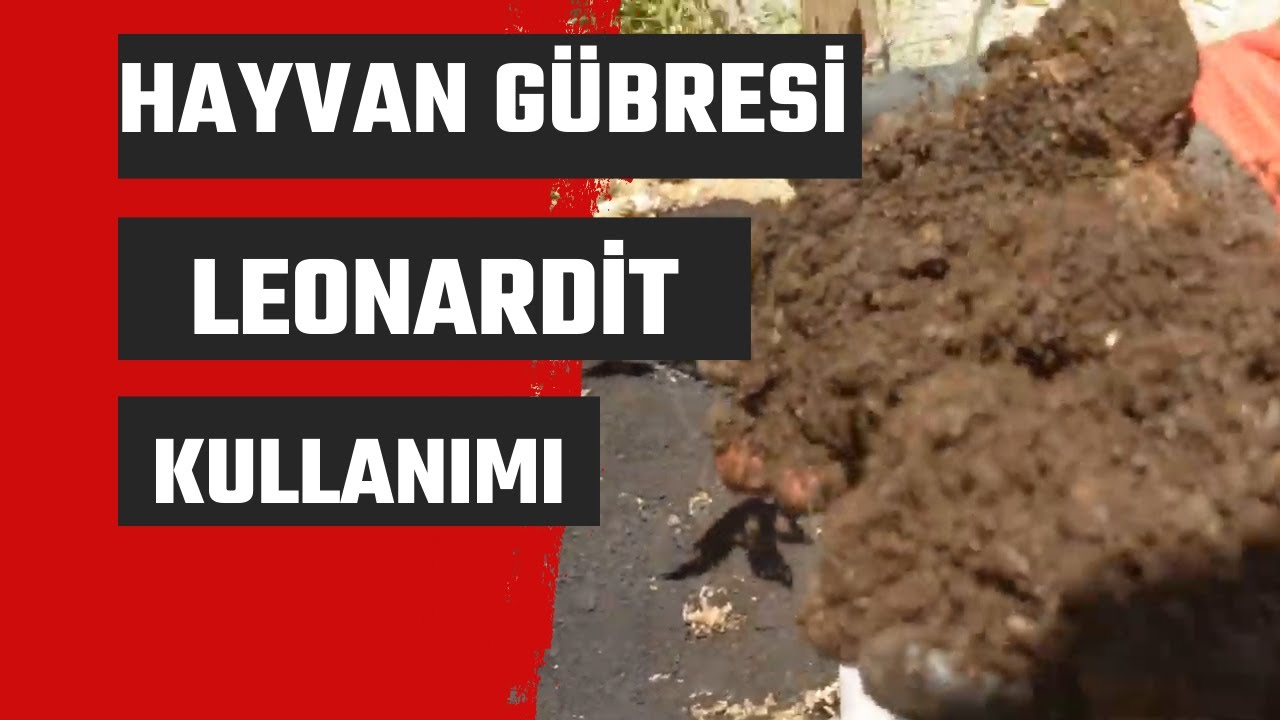 HAYVAN GÜBRESİ leonardit kullanımı #organikmadde #leonarditkullanımı  05326791777