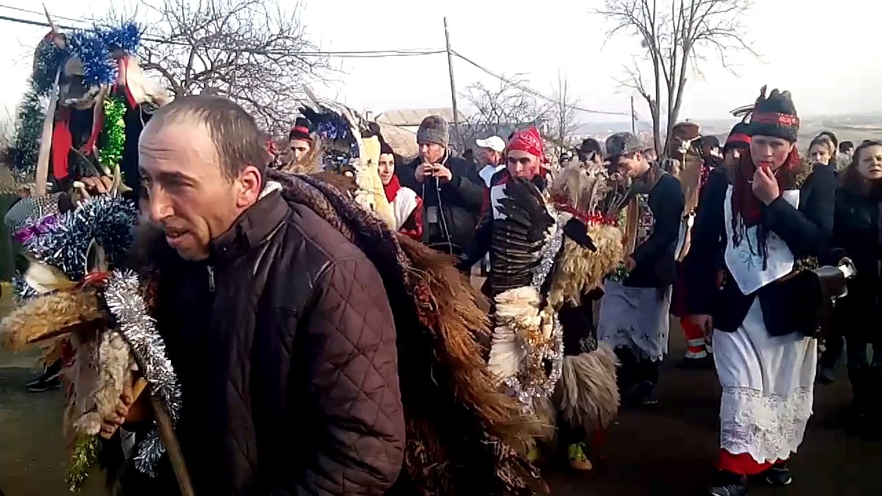 Capra mare de la Radeni si capra mare de la Popesti 2017 / Trante  Radeni vs Popesti.