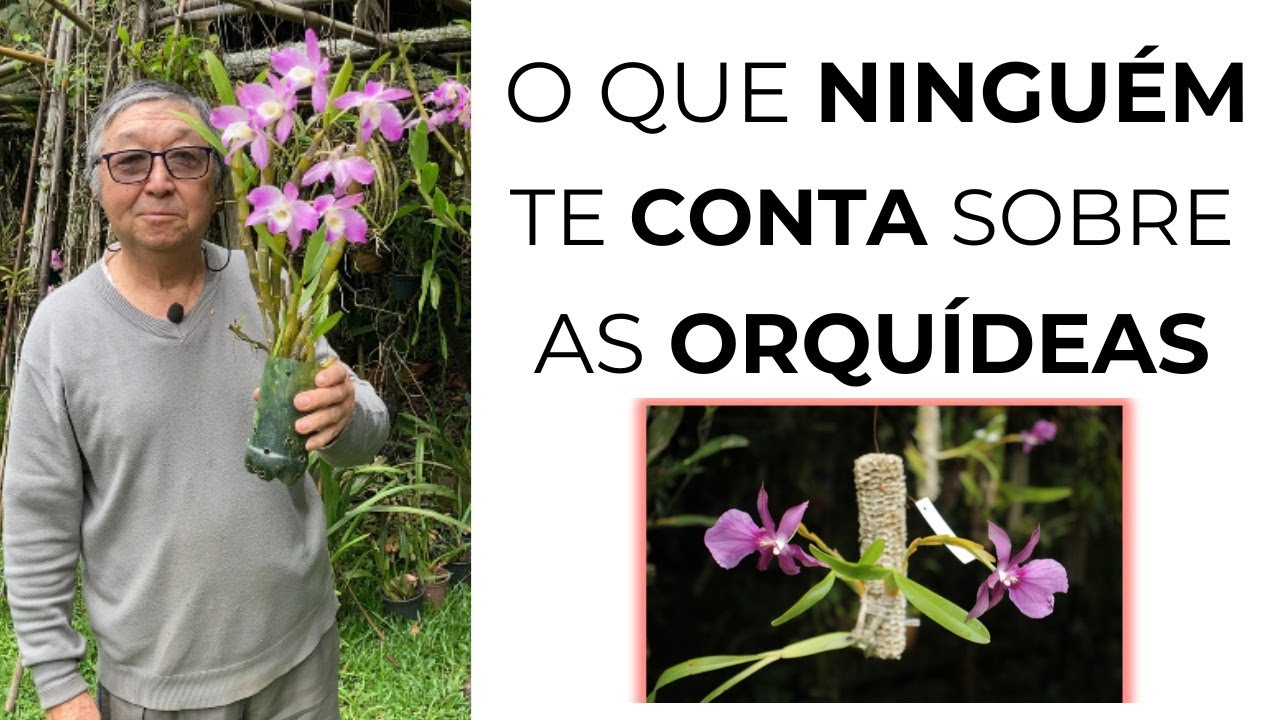 AULÃO:  Método Natural para cultivar as suas ORQUÍDEAS!