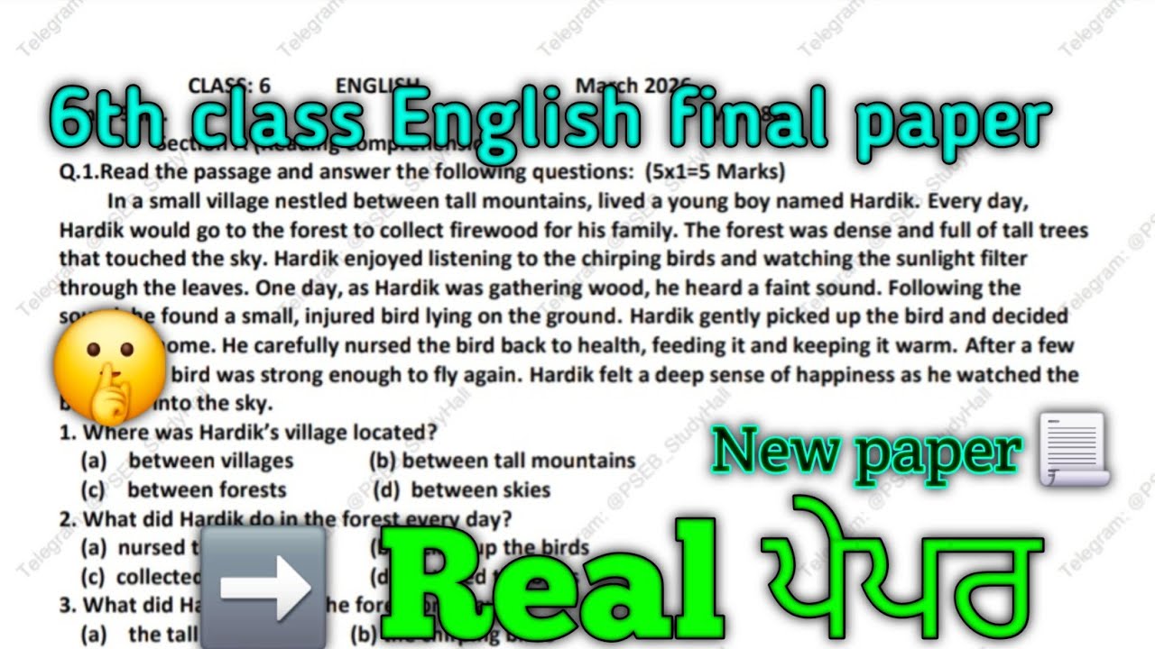 Pseb 6th class English paper | 6th class English final paper |
