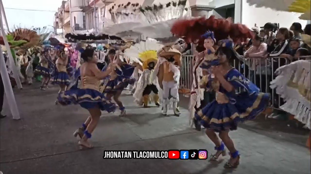 Presentación Camada 