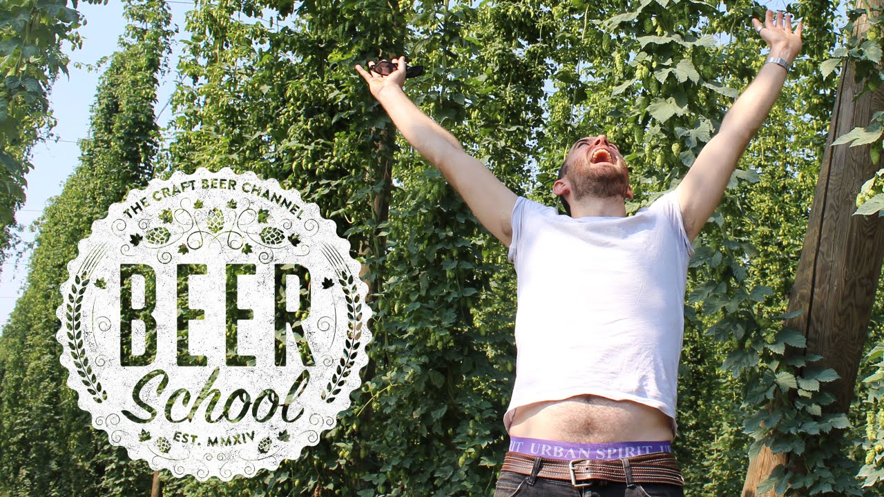 Beer school: what are hops? | The Craft Beer Channel