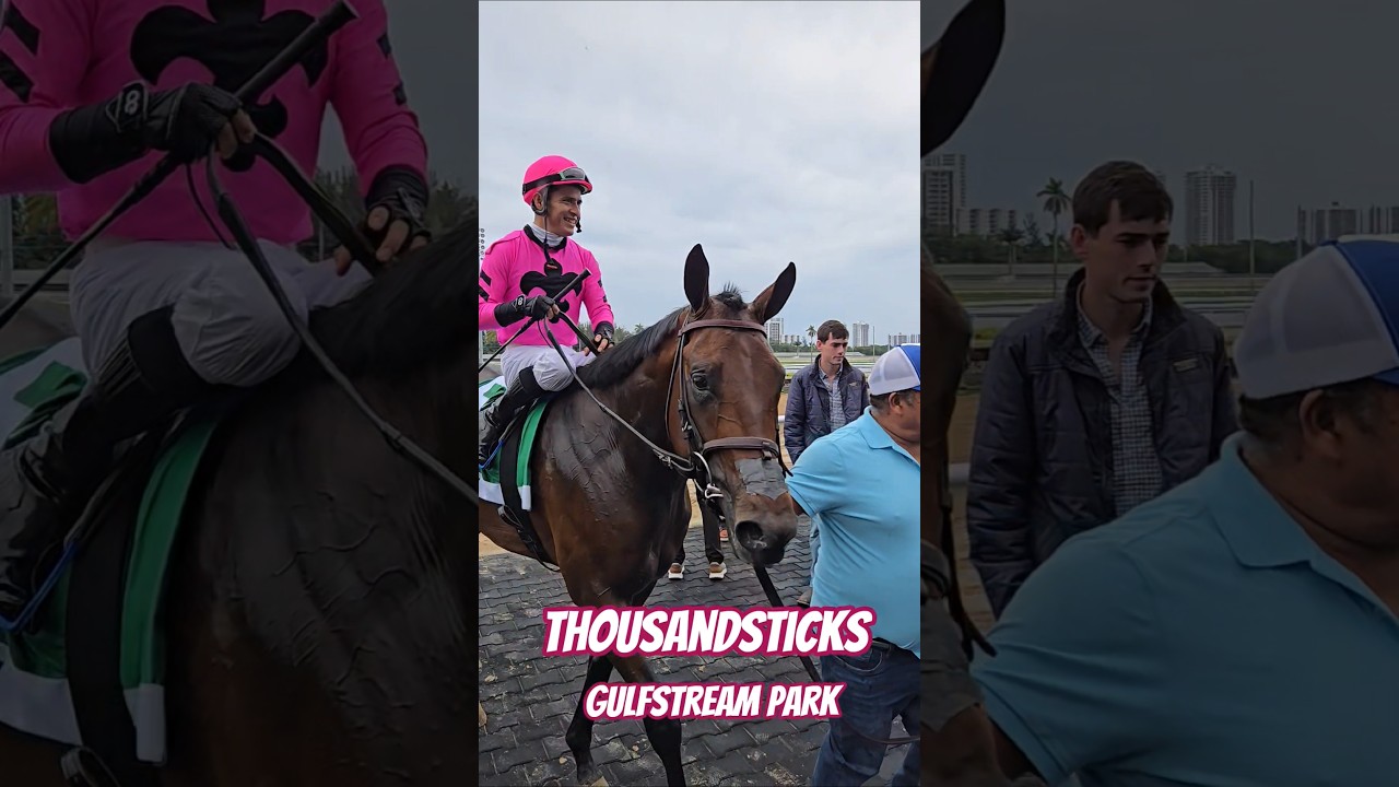 Thousandsticks and Mario Guti&eacute;rrez prevail in the Kitten's Joy Stakes. #GulfstreamPark