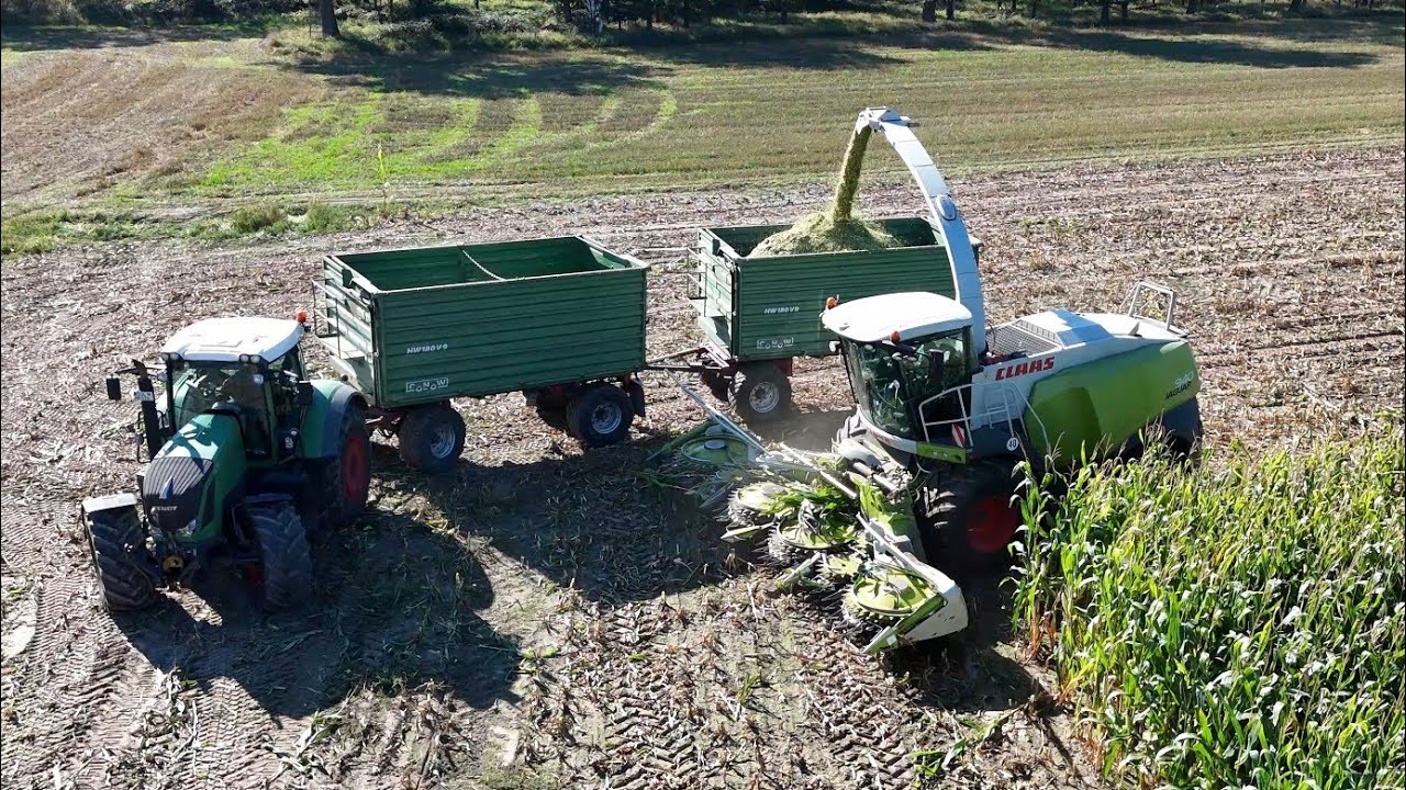 CLAAS JAGUAR 940 beim Mais häckseln / Abfaher CLAAS AXION 830, FENDT 724 & FENDT 828 / 4K