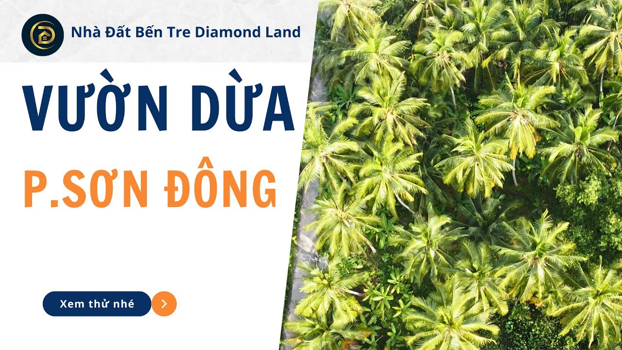 Vườn dừa 3000m2 phường Sơn Đông cách chợ phước Hậu 300m ngang tận 40m 
