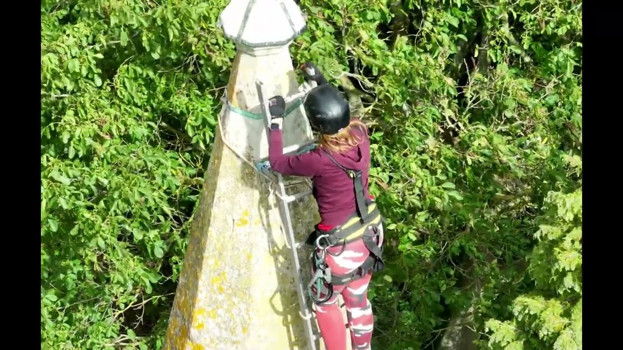 'Nikki the SteepleJill'