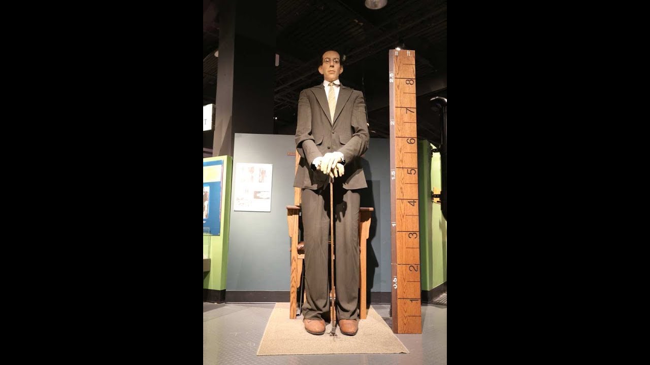 Nguoi Khong Lo Robert Wadlow - World&rsquo;s Tallest Man at Vancouver Science World - Giant