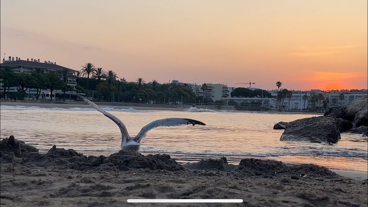 Amanecer cálido en la costa de España, Cambrils 🌞 vídeo relajante🤌 #catalunya #beach #amaneceres