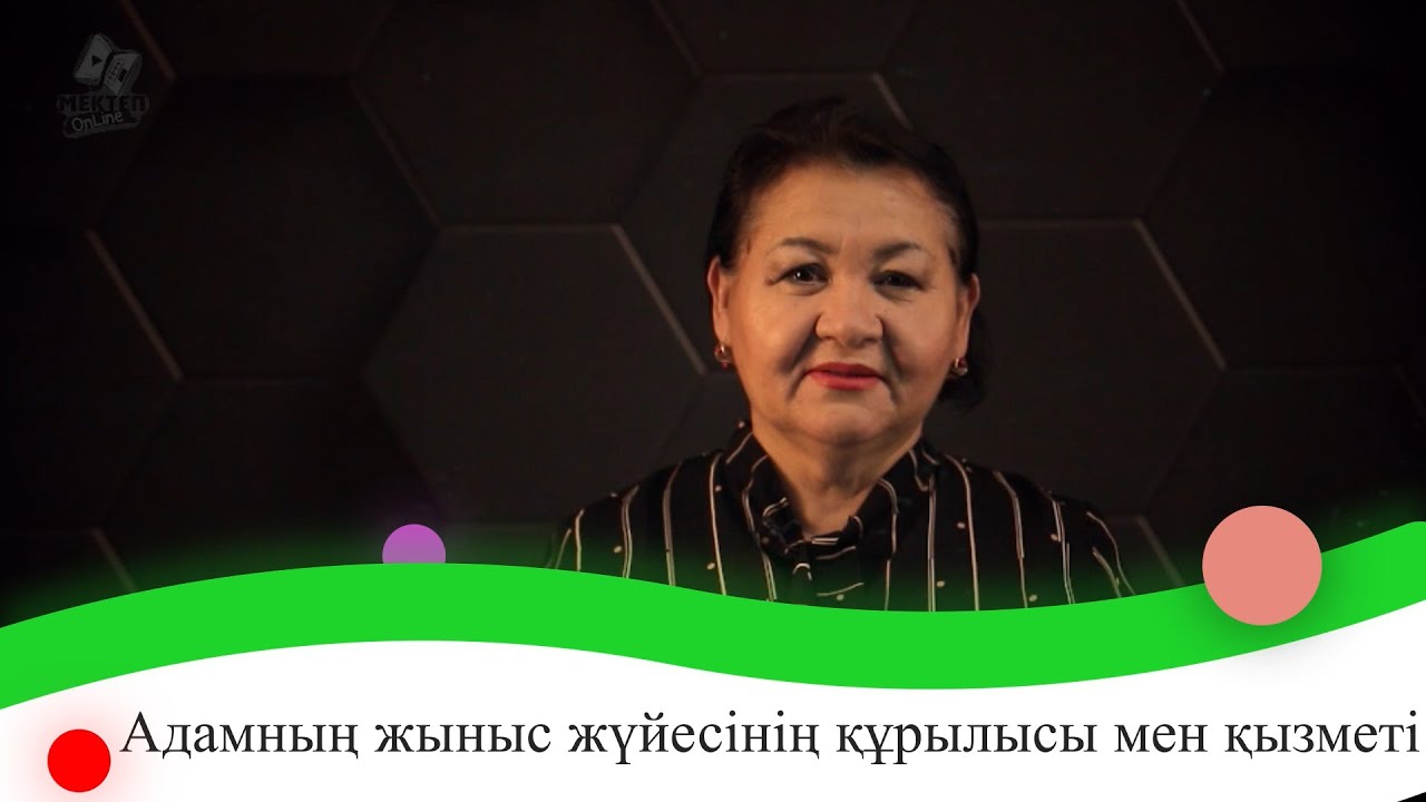 Адамның жыныс жүйесінің құрылысы мен қызметі. 9 сынып.