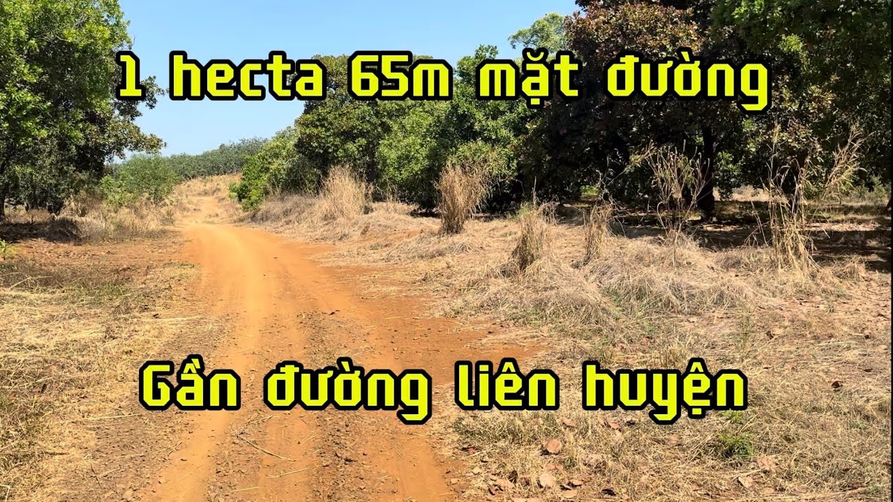 Bán đất vườn 1 hecta có 65m mặt đường xe du lịch tới nơi.đồng Phú bình Phước (đồng Nai)lh 0867048379