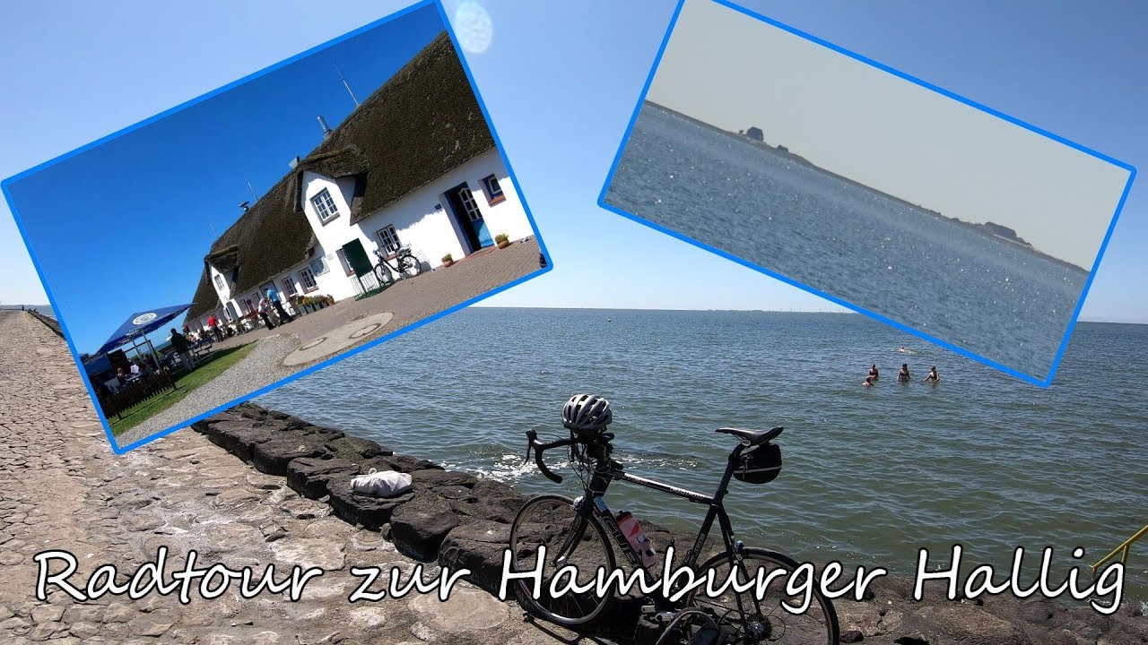 Radtour 2019 | Radtour zur Hamburger Hallig | 4K