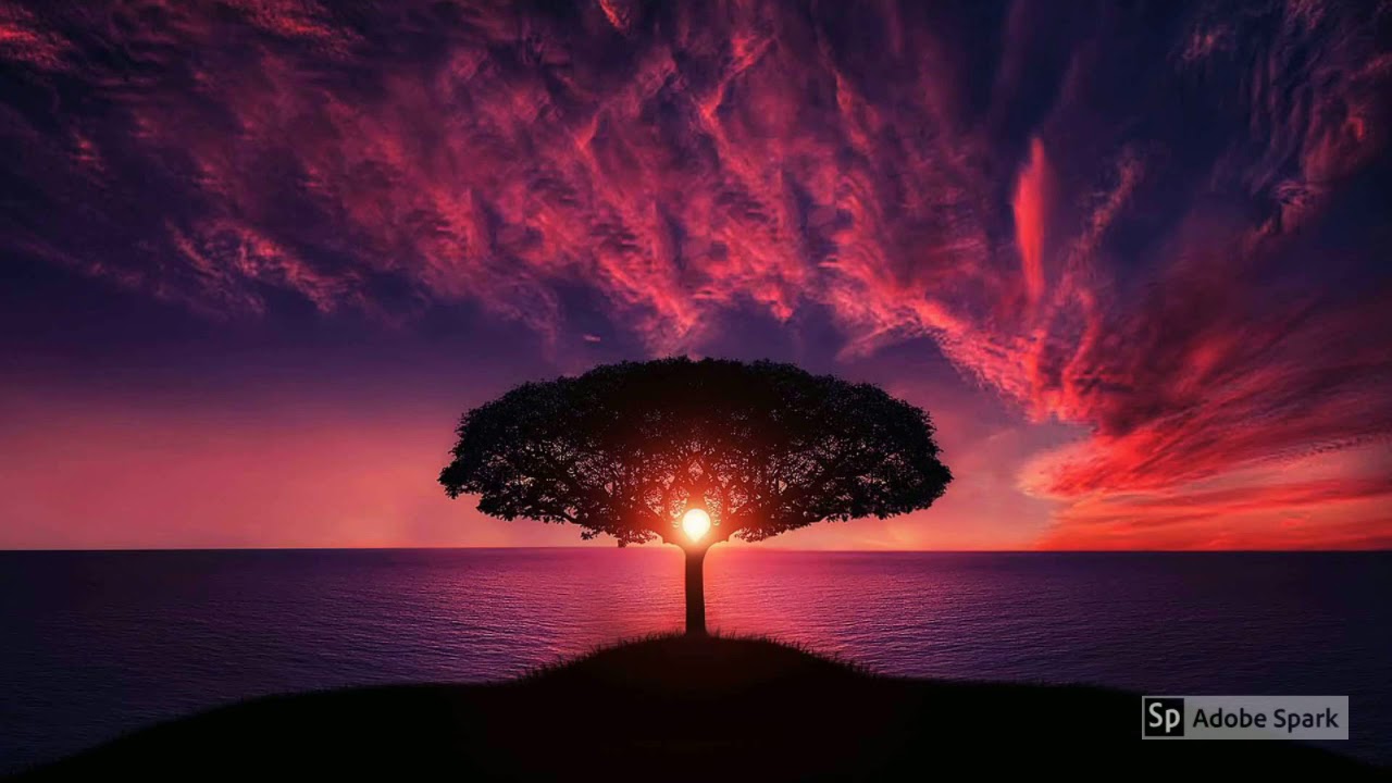 Music Video: Nature's Beauty
