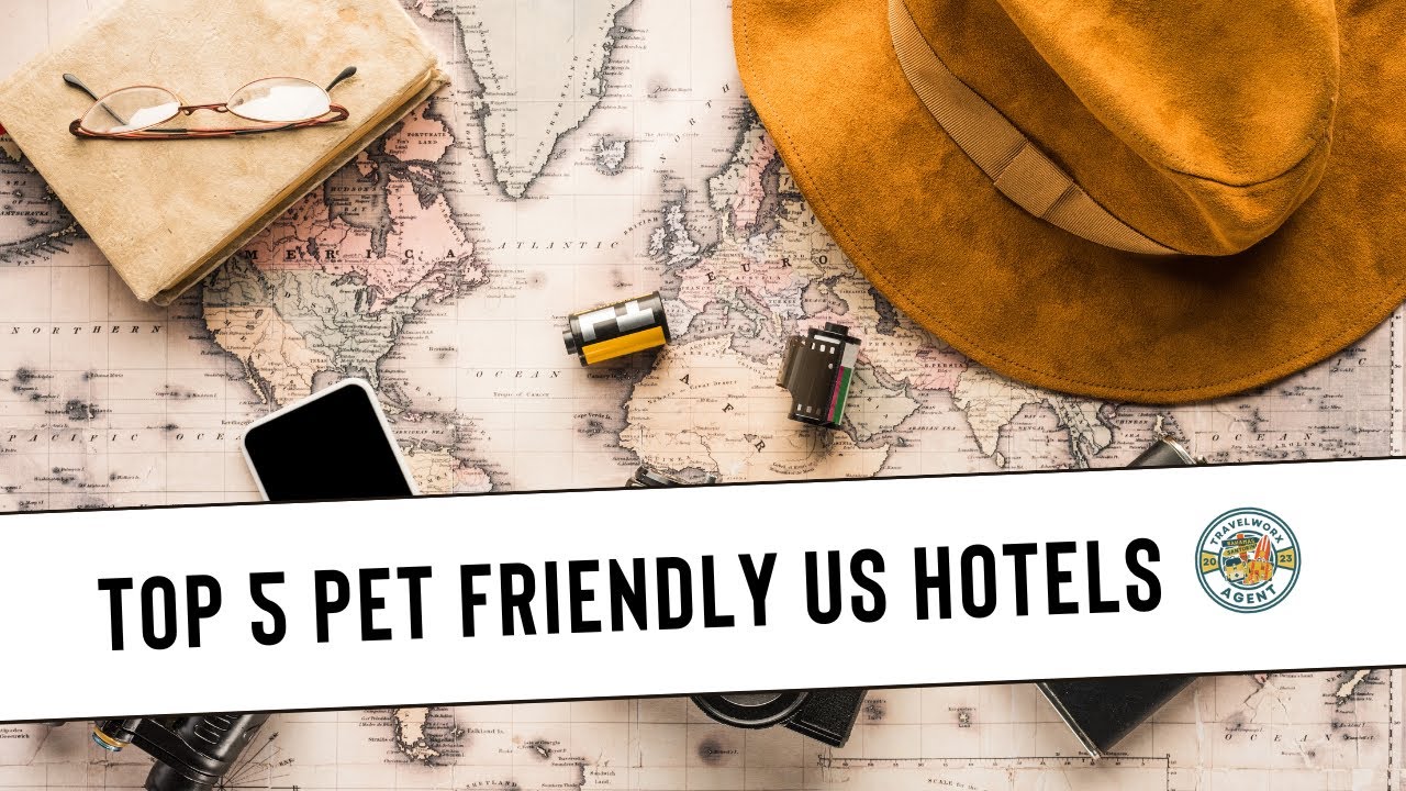 5 Pet Friendly US Hotels