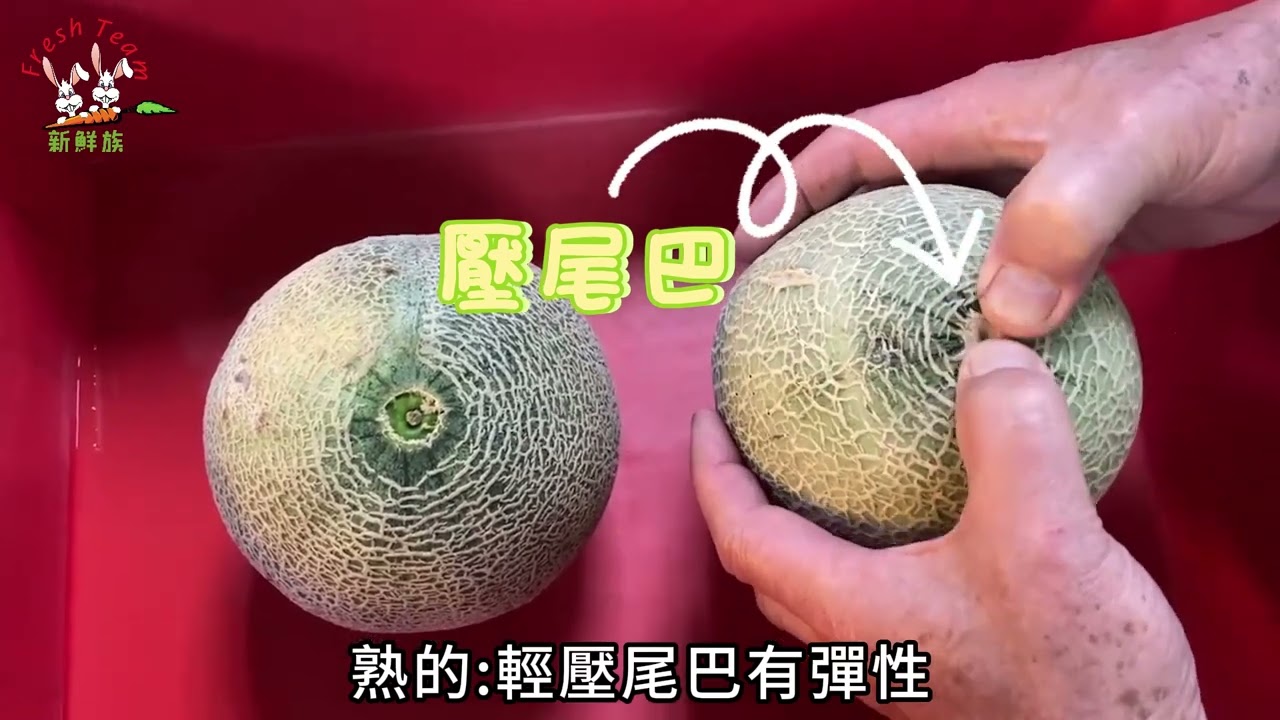 新鮮族 洋香瓜熟度判斷