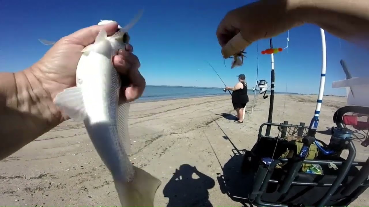 Surf Fishing Edisto Beach