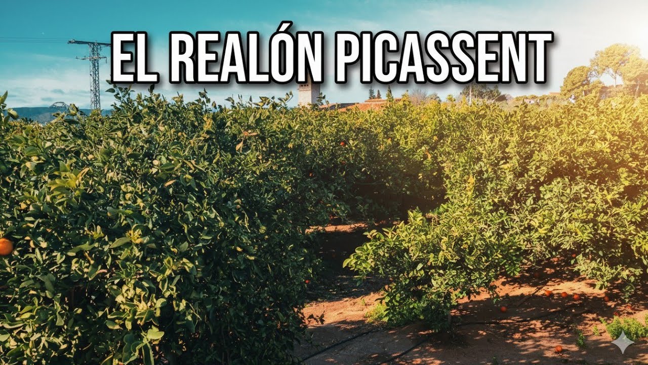 ¿Cómo es el sonido en EL REALÓN, Picassent? | Entorno y Sonidos reales🏡