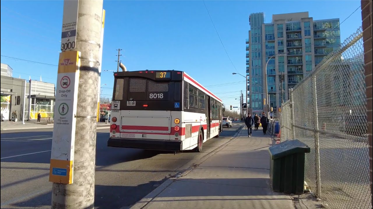 TTC 37 Islington Bus Ride #8018 from Islington Ave & Steeles to Islington Stn (February 4th, 2024)
